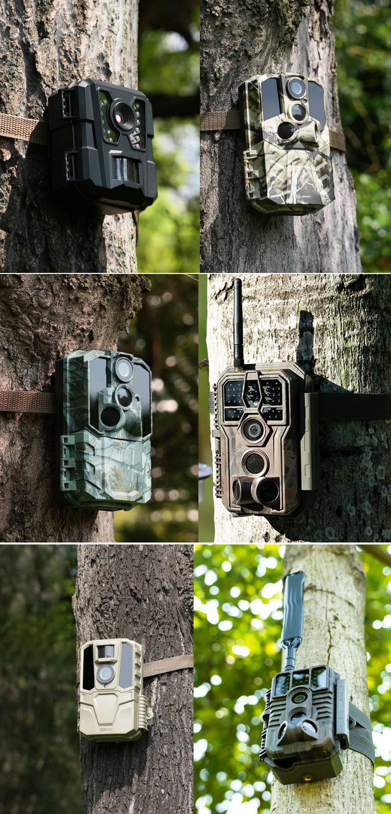 打獵相機(jī)應(yīng)用.jpg